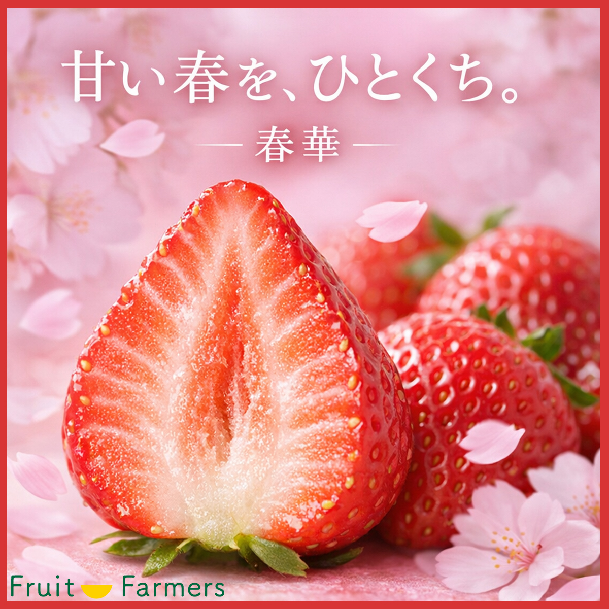 茨城県産いちご 春華(しゅんか)