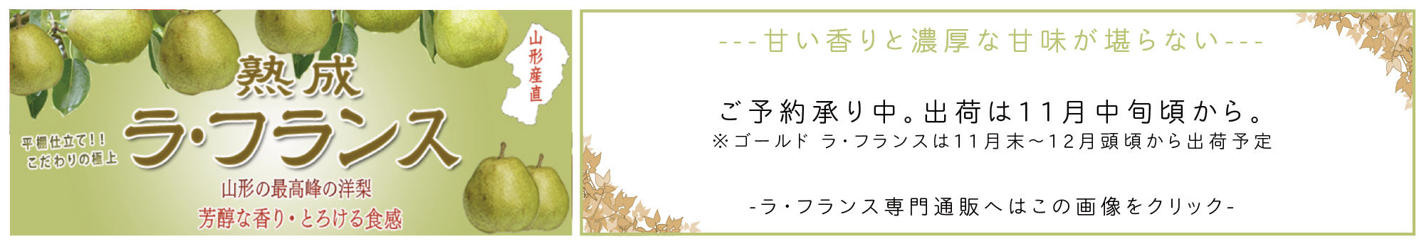 いちご専門通販｜ギフトに最適 最高級 無農薬 いちご ...