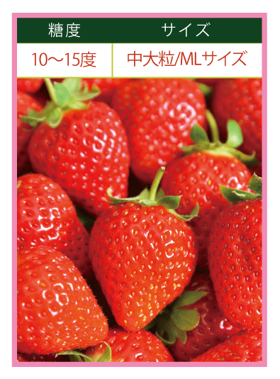 ichigo-1056
