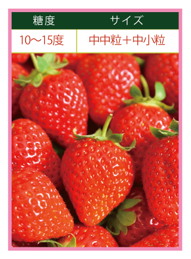 ichigo-1062